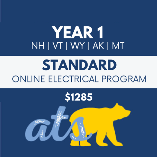 Year 1 Standard Online Electrical Program